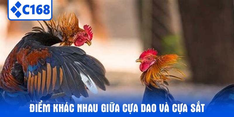Điểm Khác Nhau Giữa Cựa Dao Và Cựa Sắt
