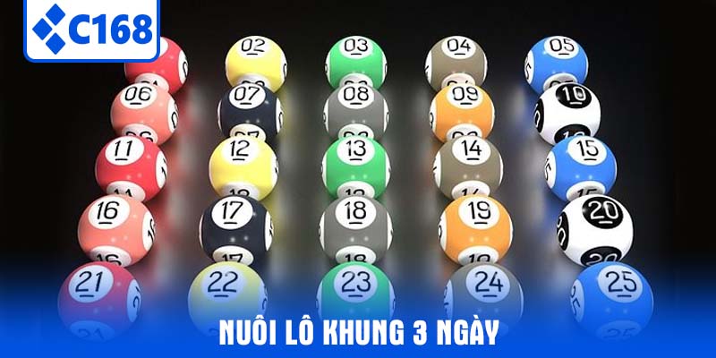 Nuôi Lô Khung 3 Ngày