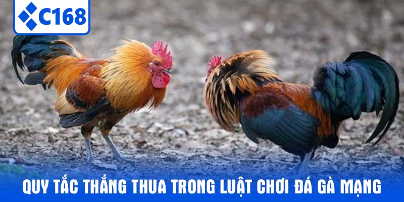 Quy tắc thắng thua trong luật chơi đá gà mạng