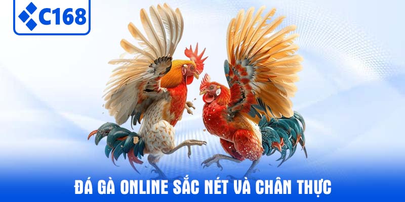 Đá gà online sắc nét và chân thực
